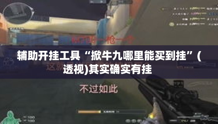 辅助开挂工具“掀牛九哪里能买到挂”(透视)其实确实有挂 