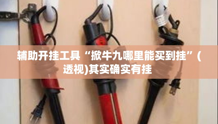 辅助开挂工具“掀牛九哪里能买到挂	”(透视)其实确实有挂 