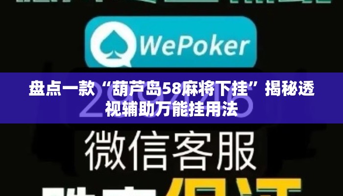 盘点一款“葫芦岛58麻将下挂”揭秘透视辅助万能挂用法