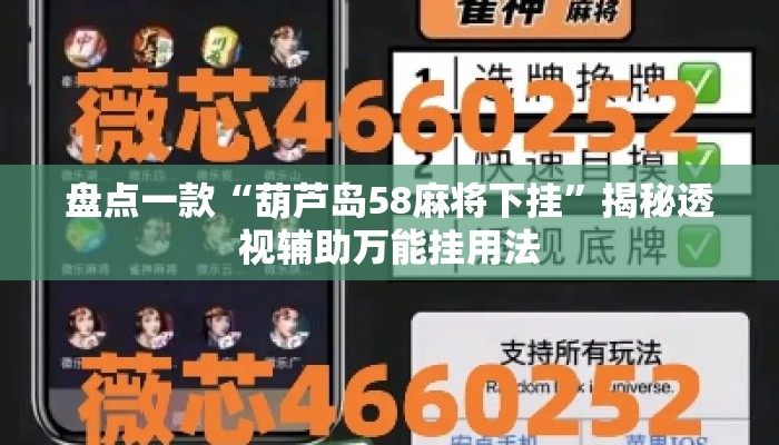 盘点一款“葫芦岛58麻将下挂”揭秘透视辅助万能挂用法