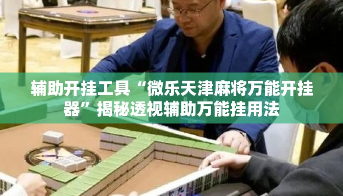 辅助开挂工具“微乐天津麻将万能开挂器”揭秘透视辅助万能挂用法