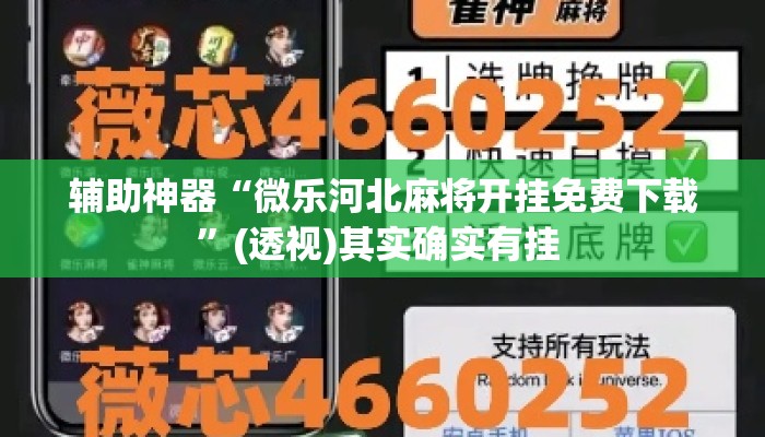 辅助神器“微乐河北麻将开挂免费下载”(透视)其实确实有挂 