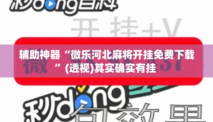辅助神器“微乐河北麻将开挂免费下载	”(透视)其实确实有挂 
