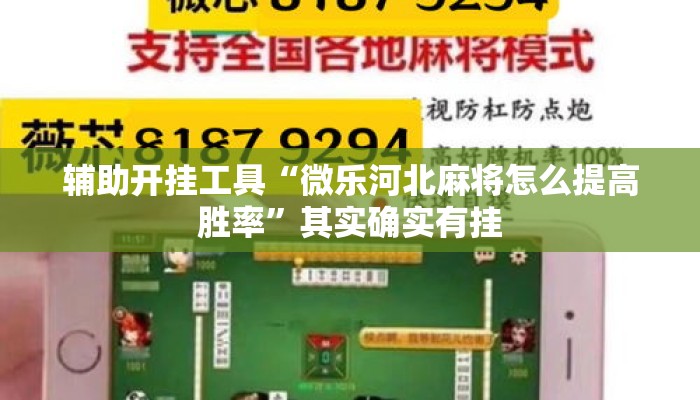 辅助开挂工具“旺旺南平麻将竟有透视挂吗”揭秘透视辅助万能挂用法