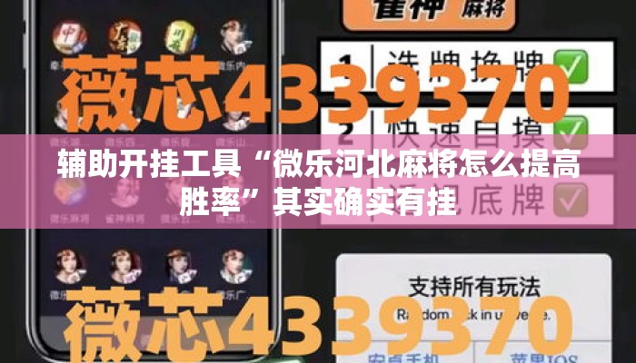 辅助开挂工具“微乐河北麻将怎么提高胜率”其实确实有挂