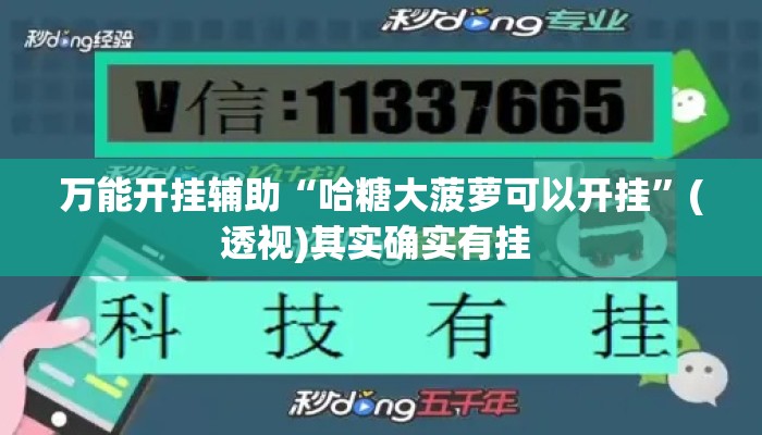 万能开挂辅助“哈糖大菠萝可以开挂	”(透视)其实确实有挂 
