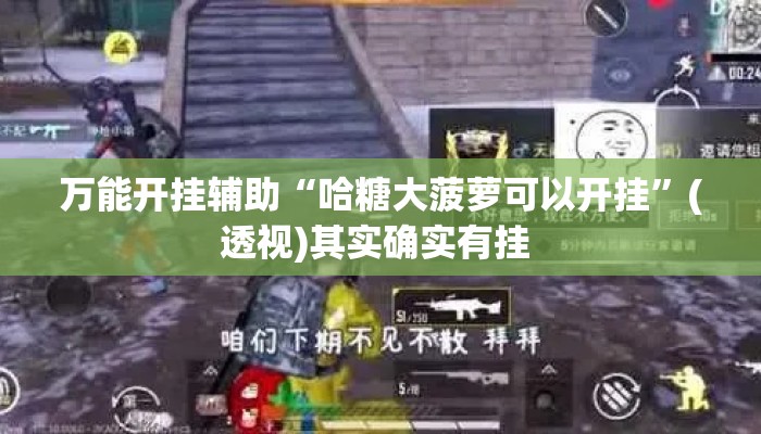 万能开挂辅助“哈糖大菠萝可以开挂”(透视)其实确实有挂 