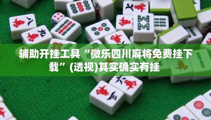 辅助开挂工具“微乐四川麻将免费挂下载	”(透视)其实确实有挂 