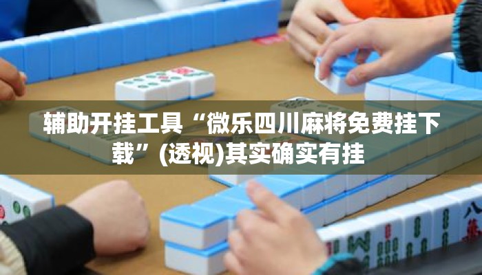 辅助开挂工具“微乐四川麻将免费挂下载”(透视)其实确实有挂 