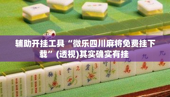 辅助开挂工具“微乐四川麻将免费挂下载”(透视)其实确实有挂 
