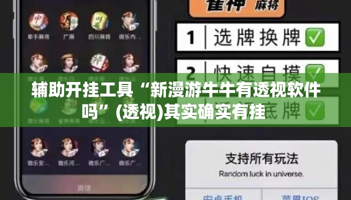 辅助开挂工具“新漫游牛牛有透视软件吗	”(透视)其实确实有挂 