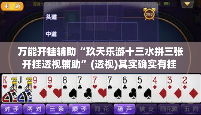 万能开挂辅助“玖天乐游十三水拼三张开挂透视辅助”(透视)其实确实有挂 