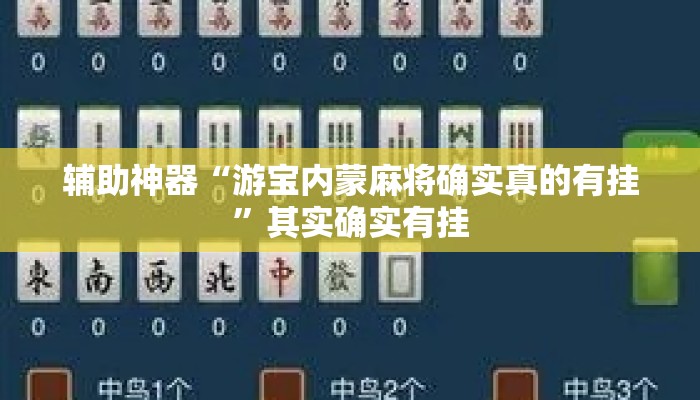 辅助神器“天天贵阳麻将可以开挂吗”详细分享装挂步骤教程