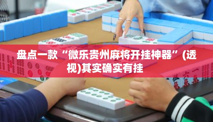 盘点一款“微乐贵州麻将开挂神器”(透视)其实确实有挂 