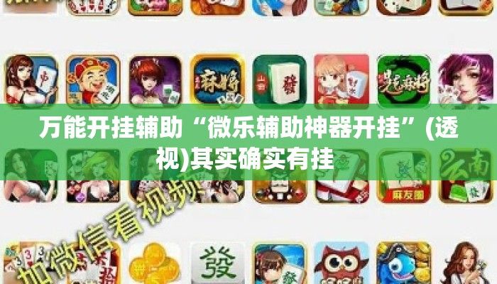 万能开挂辅助“微乐辅助神器开挂”(透视)其实确实有挂 