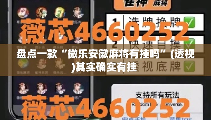 辅助神器“掌心麻将圈开挂神器”详细分享装挂步骤教程