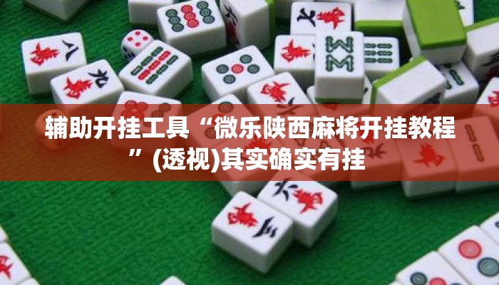 辅助开挂工具“微乐陕西麻将开挂教程”(透视)其实确实有挂 