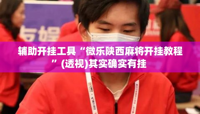 辅助开挂工具“微乐陕西麻将开挂教程	”(透视)其实确实有挂 