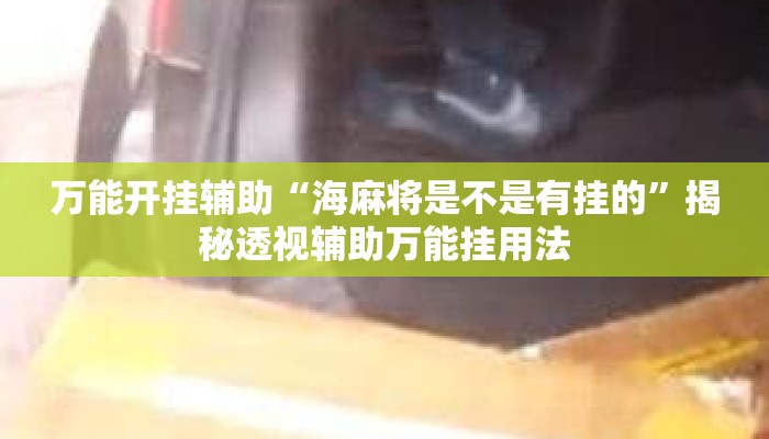 万能开挂辅助“海麻将是不是有挂的”揭秘透视辅助万能挂用法