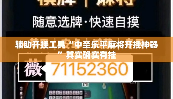 辅助开挂工具“中至乐平麻将开挂神器	”其实确实有挂