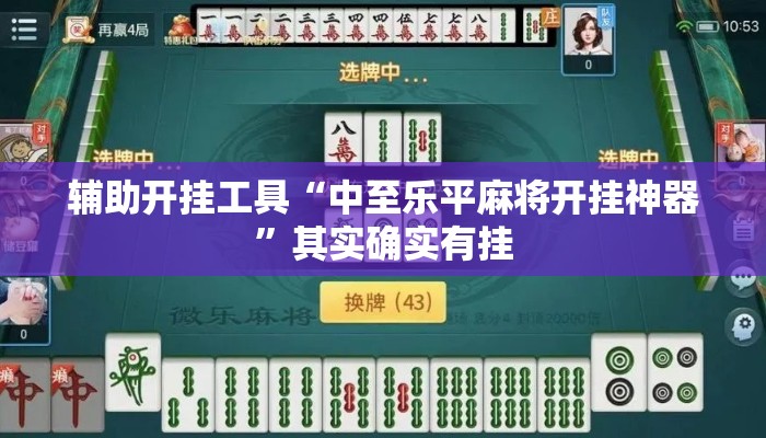 辅助开挂工具“中至乐平麻将开挂神器”其实确实有挂