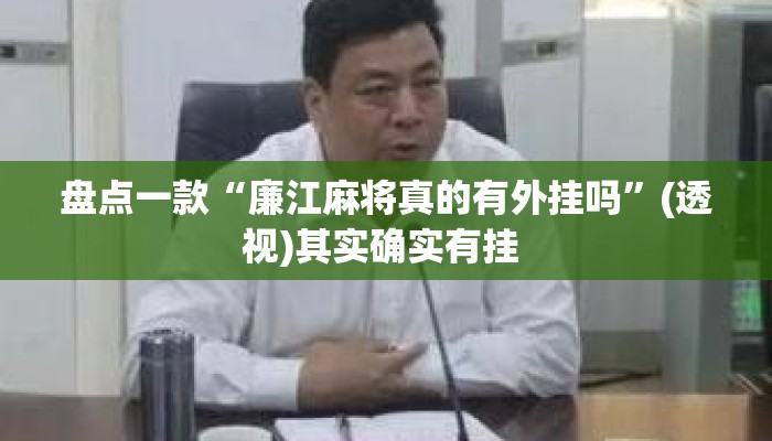 盘点一款“廉江麻将真的有外挂吗	”(透视)其实确实有挂 