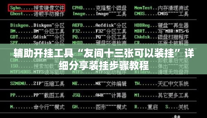 辅助开挂工具“友间十三张可以装挂”详细分享装挂步骤教程