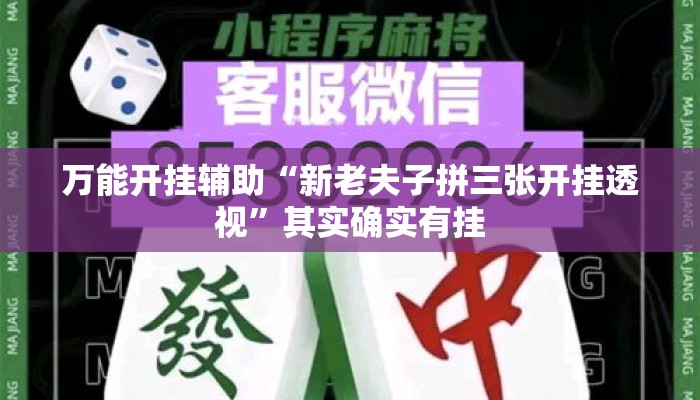 万能开挂辅助“新老夫子拼三张开挂透视”其实确实有挂