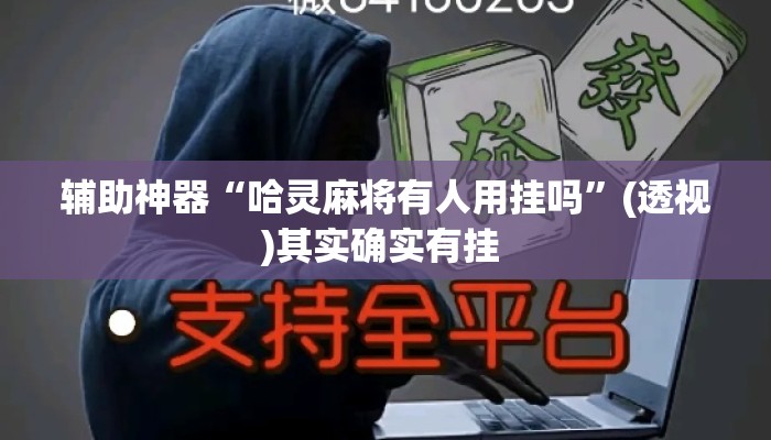 辅助神器“哈灵麻将有人用挂吗”(透视)其实确实有挂 