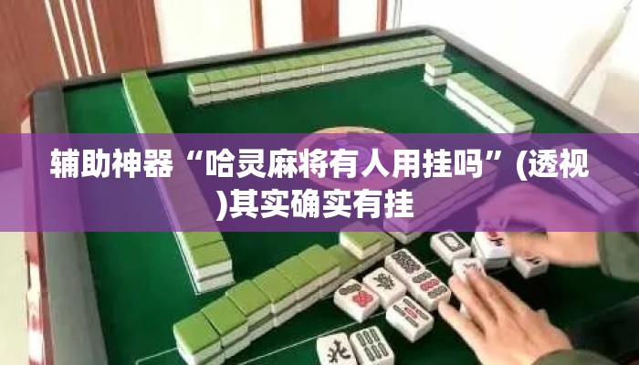 辅助神器“哈灵麻将有人用挂吗”(透视)其实确实有挂 