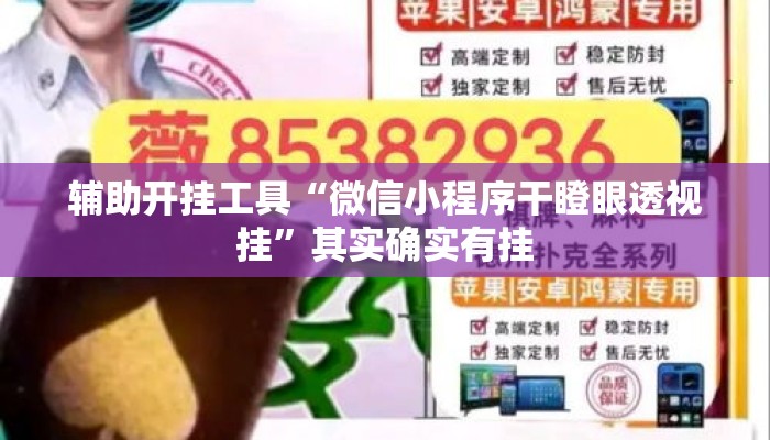 辅助开挂工具“微信小程序干瞪眼透视挂”其实确实有挂