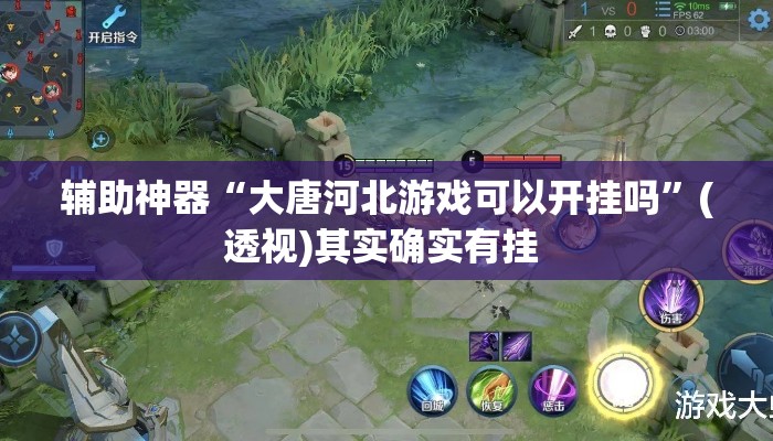 辅助神器“大唐河北游戏可以开挂吗”(透视)其实确实有挂 