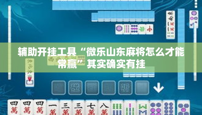 辅助开挂工具“微乐山东麻将怎么才能常赢”其实确实有挂