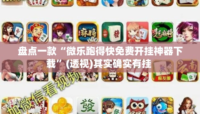盘点一款“微乐跑得快免费开挂神器下载”(透视)其实确实有挂 