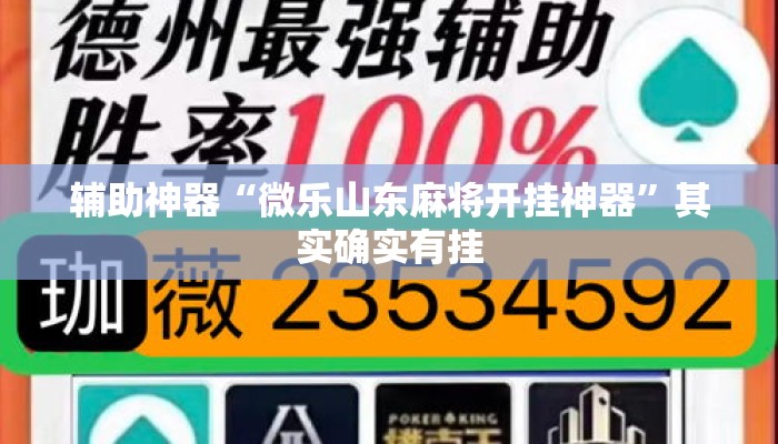 辅助神器“微乐山东麻将开挂神器”其实确实有挂