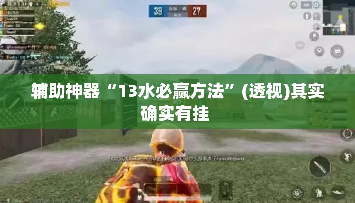 辅助神器“13水必赢方法”(透视)其实确实有挂 
