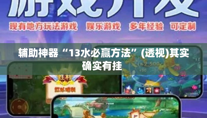 辅助神器“13水必赢方法”(透视)其实确实有挂 