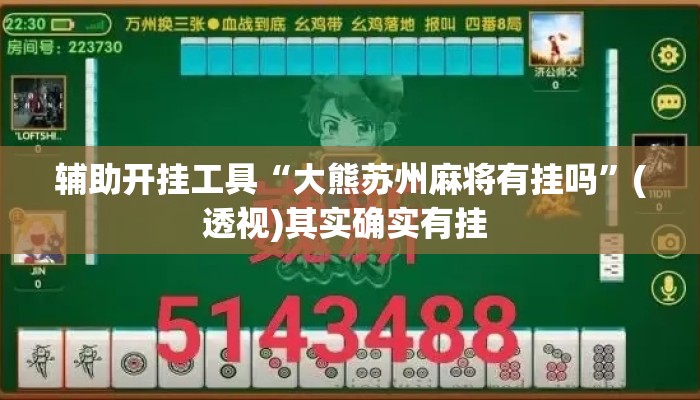 辅助开挂工具“大熊苏州麻将有挂吗”(透视)其实确实有挂 