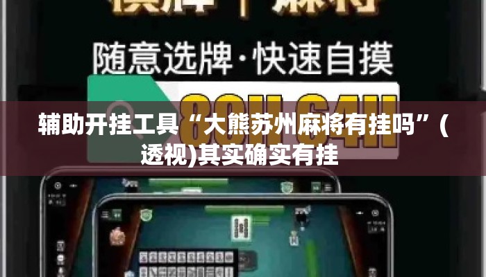 辅助开挂工具“大熊苏州麻将有挂吗”(透视)其实确实有挂 
