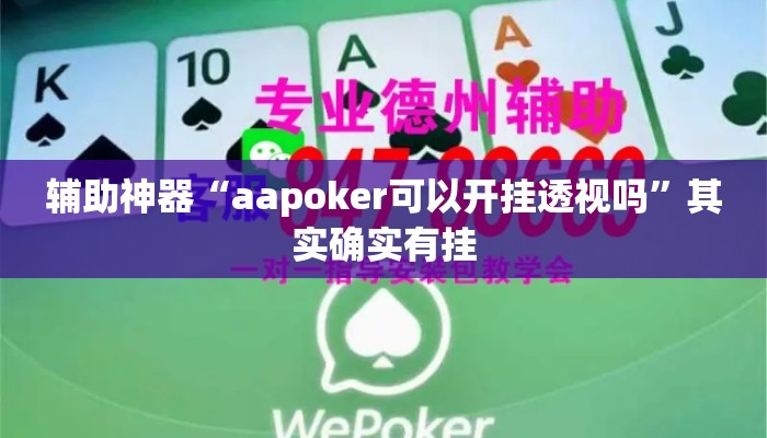 辅助神器“aapoker可以开挂透视吗”其实确实有挂