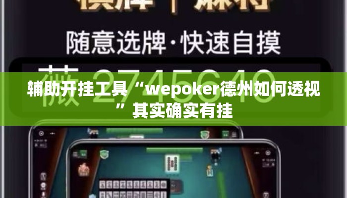 辅助开挂工具“wepoker德州如何透视”其实确实有挂