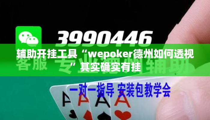辅助开挂工具“wepoker德州如何透视”其实确实有挂