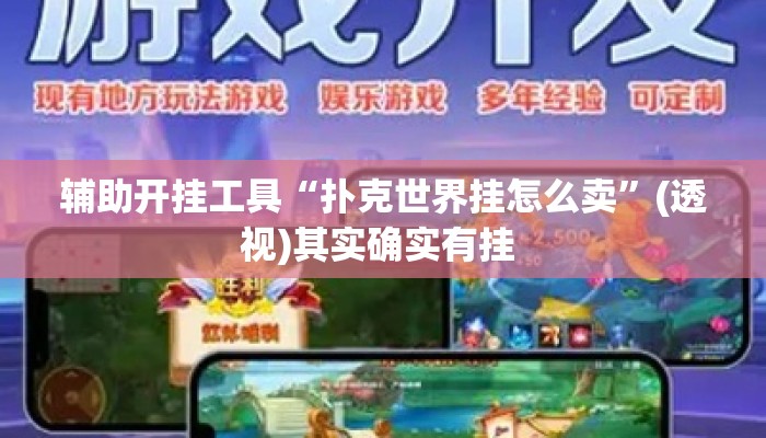 辅助开挂工具“扑克世界挂怎么卖”(透视)其实确实有挂 