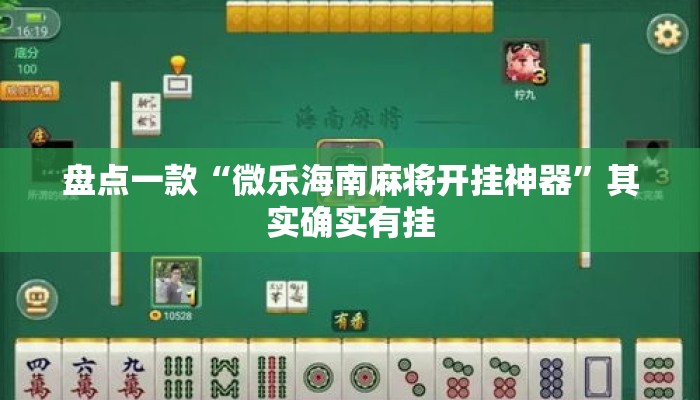 盘点一款“微乐海南麻将开挂神器”其实确实有挂