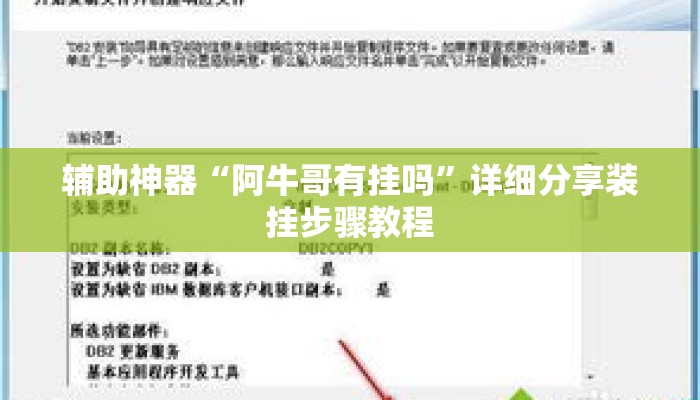 辅助神器“阿牛哥有挂吗	”详细分享装挂步骤教程