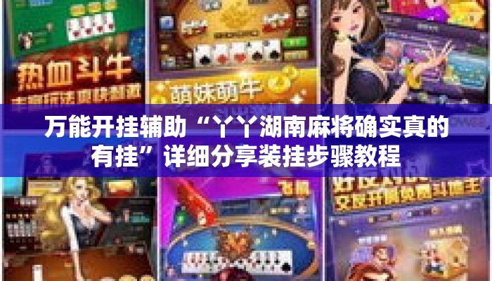 万能开挂辅助“丫丫湖南麻将确实真的有挂”详细分享装挂步骤教程