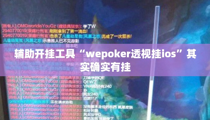 辅助开挂工具“wepoker透视挂ios	”其实确实有挂