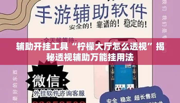 辅助开挂工具“柠檬大厅怎么透视”揭秘透视辅助万能挂用法