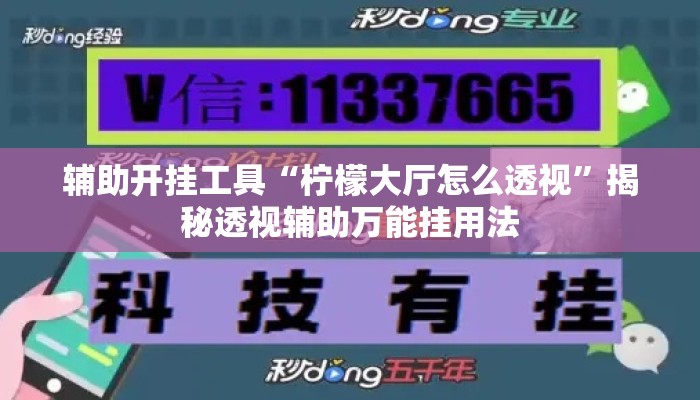 辅助开挂工具“柠檬大厅怎么透视	”揭秘透视辅助万能挂用法