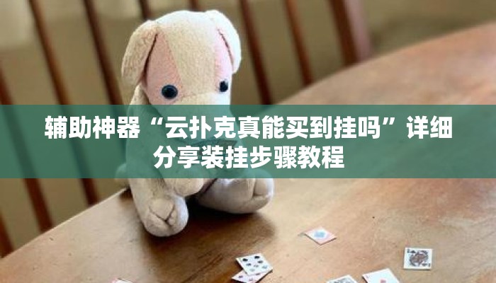 辅助神器“云扑克真能买到挂吗”详细分享装挂步骤教程